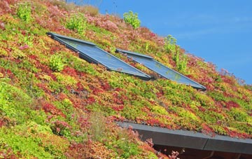 Pertenhall living roof systems